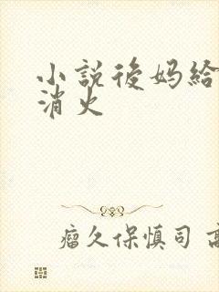 小说后妈给我消消火封面