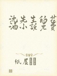 沈先生的花式调酒小说免费阅读
