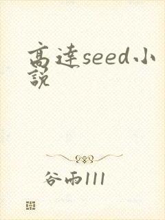 高达seed小说封面