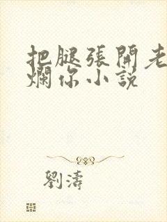 把腿张开老子臊烂你小说封面
