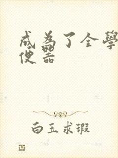 成为了全学校坐便器