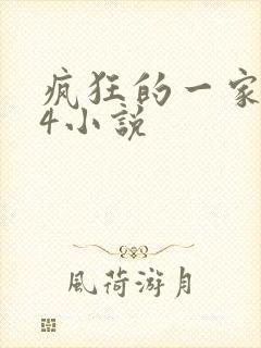 疯狂的一家ps4小说