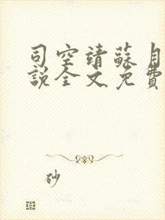 司空靖苏月汐小说全文免费阅读封面