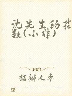 沈先生的花式调数(小非)