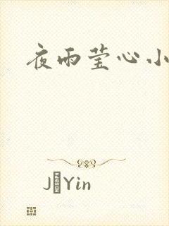 夜雨莹心小说