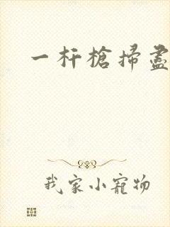 一杆枪扫尽全家