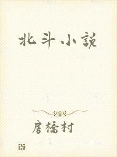 北斗小说