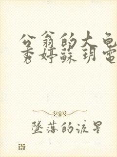 公翁的大龟挺进秀婷苏玥电影