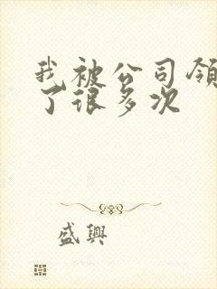 我被公司领导C了很多次封面