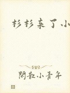 杉杉来了小说封面