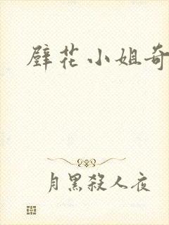 壁花小姐奇遇记