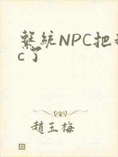 系统NPC把我c了
