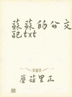 苏苏的公交车日记txt