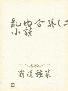 乱肉合集(二)小说封面