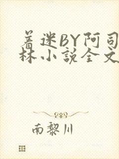 着迷BY阿司匹林小说全文免费阅读封面
