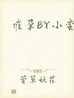 催孕BY小蛮腰