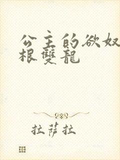 公主的欲奴h四根双龙