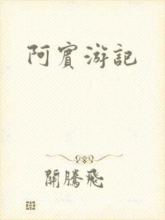 阿宾游记封面