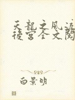 天龙之风流猎艳后宫全文阅读