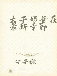 太子奶爸在花都最新章节封面
