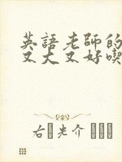 英语老师的兔子又大又好吃