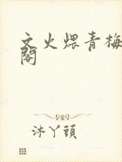 文火煨青梅笔趣阁