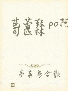 芭蕾鞋 po阿司匹林