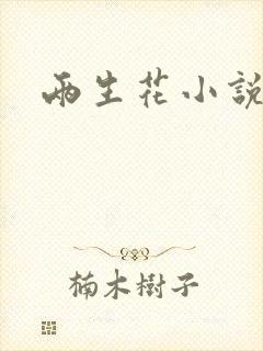 两生花小说