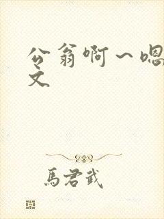 公翁啊～嗯啊h文