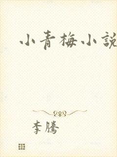 小青梅小说