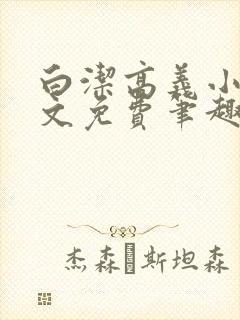 白洁高义小说全文免费笔趣阁在线阅读封面