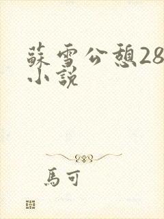 苏雪公憩28篇小说