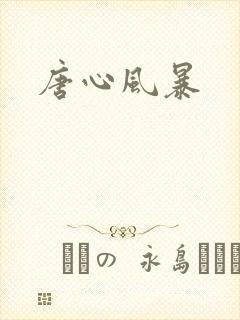 唐心风暴