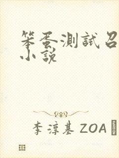 笨蛋测试召唤兽小说