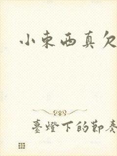小东西真欠弄