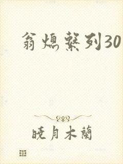 翁熄系列30部
