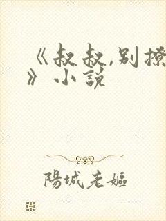《叔叔,别撩我》小说