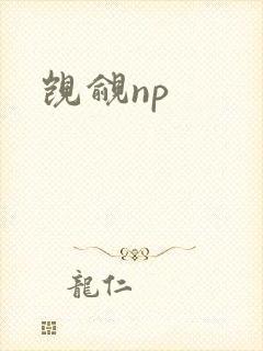 觊觎np