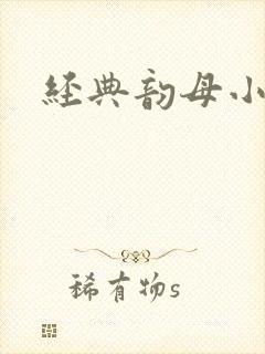 经典韵母小说封面