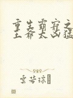 重生霸宠之摄政王爷太凶猛