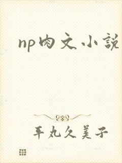 np肉文小说封面