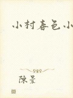 小村春色小说