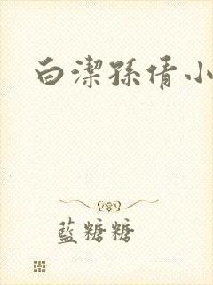 白洁孙倩小说封面