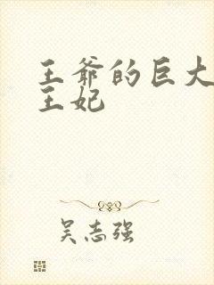 王爷的巨大进入王妃