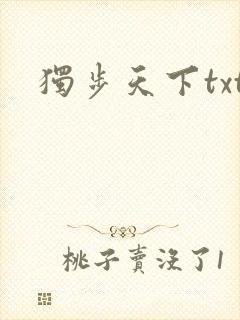 独步天下txt
