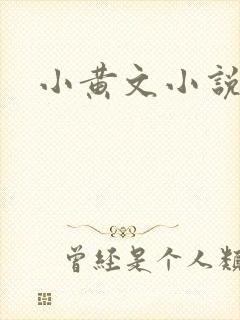 小黄文小说封面