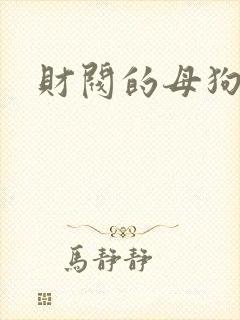 财阀的母狗们