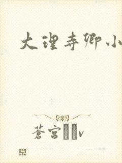 大理寺卿小说