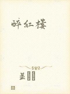 醉红楼封面