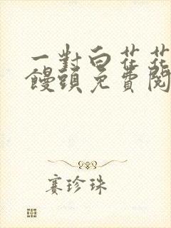 一对白花花的大馒头免费阅读